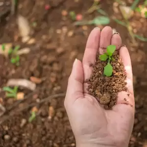 Promoting Soil Conservation: Ensuring Comprehensive Environmental Wellness and Community Support